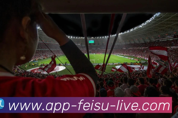 多媒体互动体验