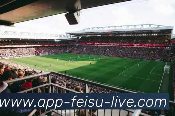 飞速体育APP 高清赛事图